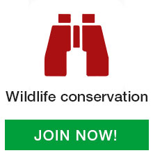 Wildlife-conservation