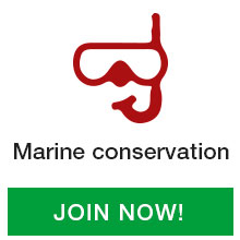 Marine-conservation